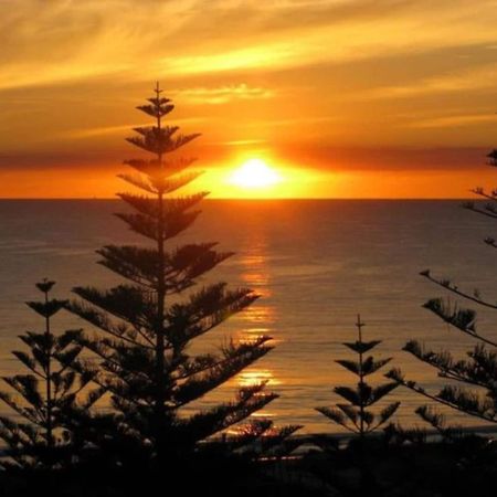 Acacia Holiday Or Business Stay - Quiet Location Perth Luaran gambar
